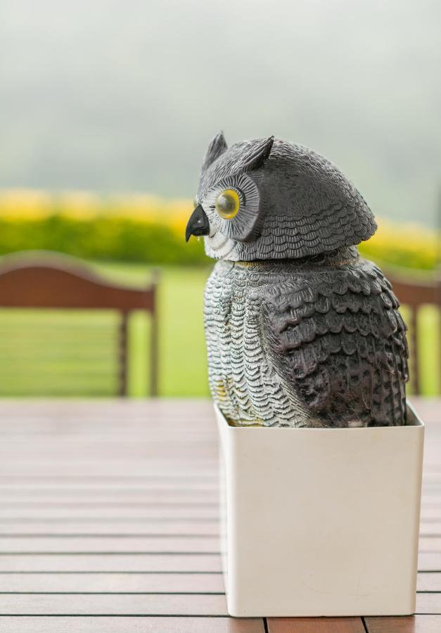 Uzturre - Baskeyrentals Berrobi エクステリア 写真